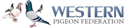 western pigeon federation|western pigeon federation race results.